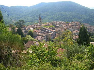 Bergemon