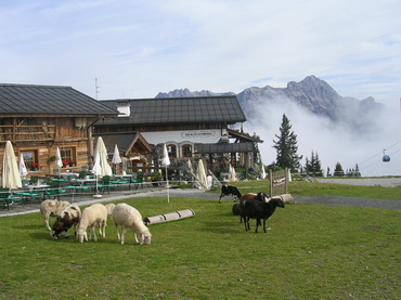 Saalbach