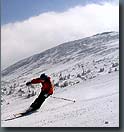 ski