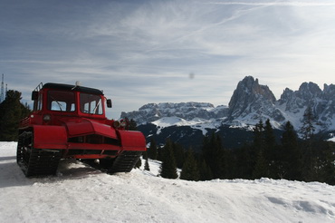 Alpedisiusi