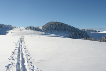 Siprunske_sedlo2