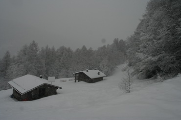 Aprica