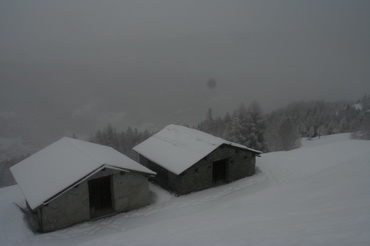 Aprica